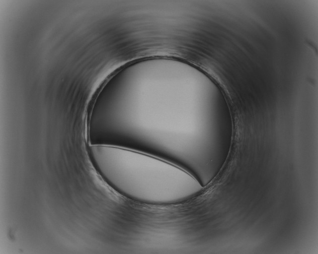 X0000102041132200807181024