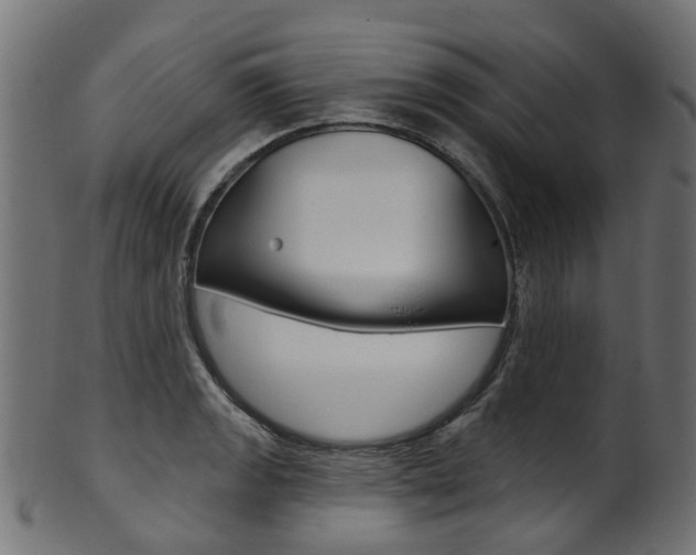 X0000102041133200807181024