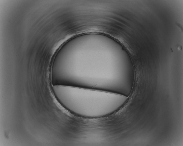 X0000102041134200807181024