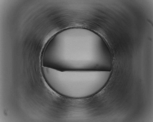 X0000102041135200807181024