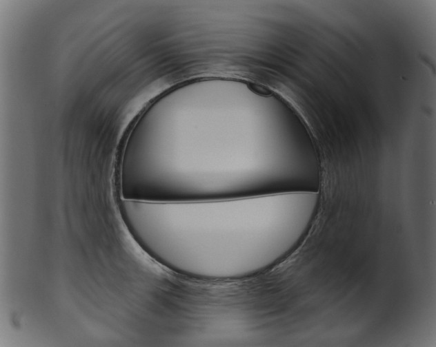 X0000102041139200807181024