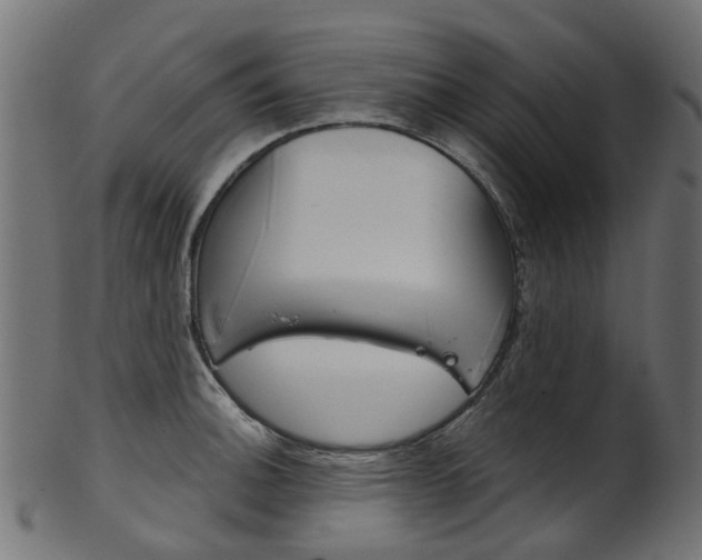 X0000102041140200807181024