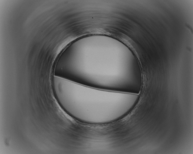X0000102041141200807181024