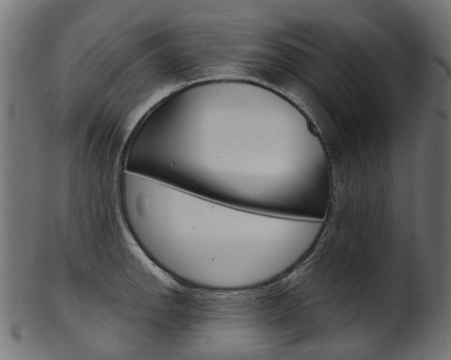 X0000102041142200807181024