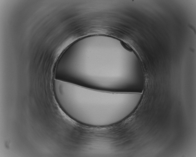 X0000102041143200807181024