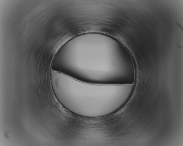 X0000102041145200807181024