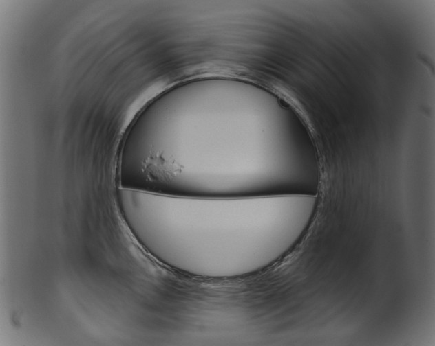 X0000102041146200807181024