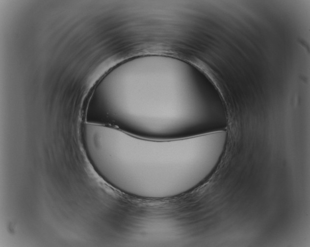 X0000102041147200807181024