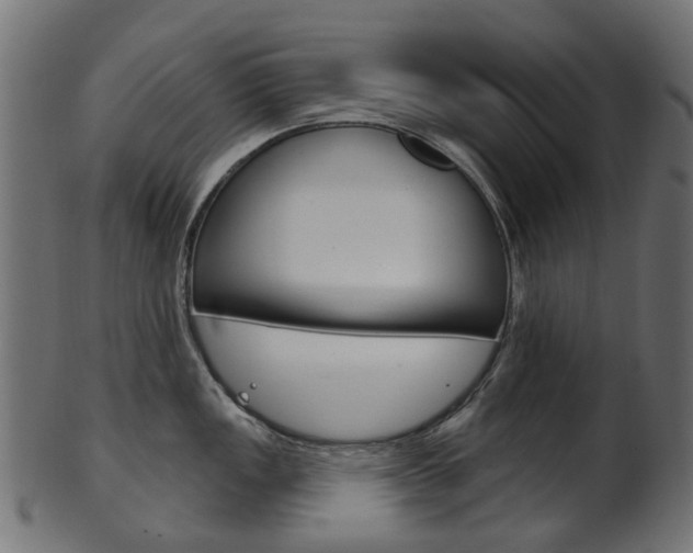 X0000102041149200807181024