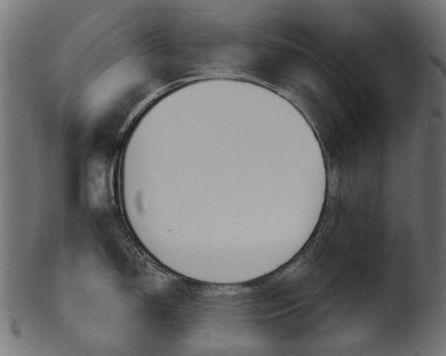 X0000102041150200807181024