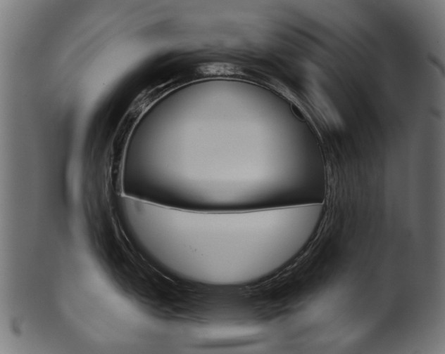 X0000102041151200807181024