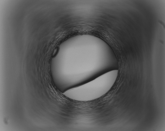X0000102041153200807181023