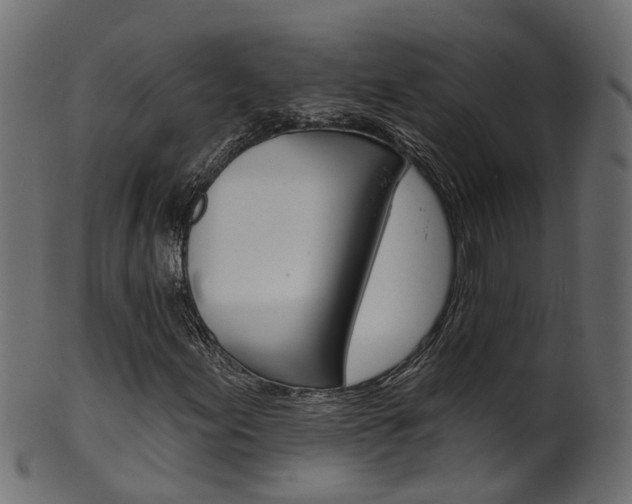 X0000102041155200807181023