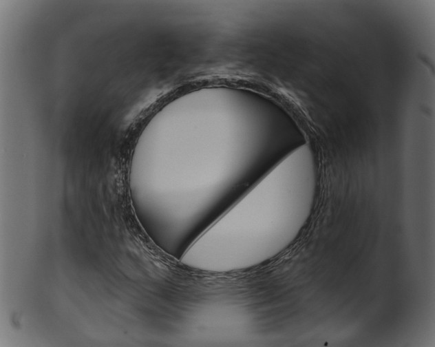 X0000102041159200807181023