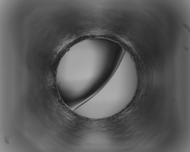 X0000102041160200807181023