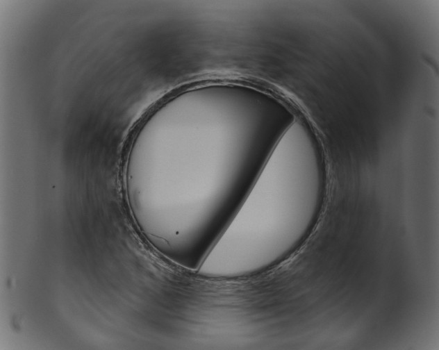 X0000102041168200807181023