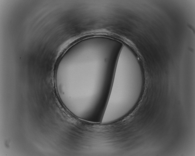 X0000102041176200807181023