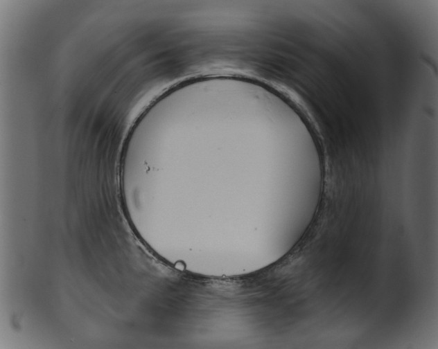 X0000102041191200807181023