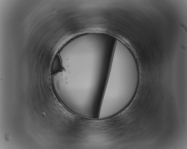 X0000102041192200807181022