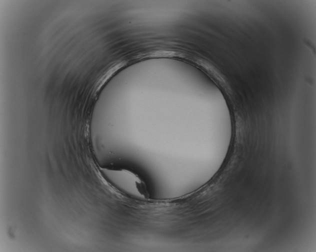 X0000102041193200807181022