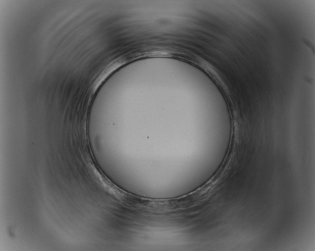 X0000102041194200807181022