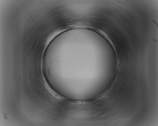 X0000102041195200807181022