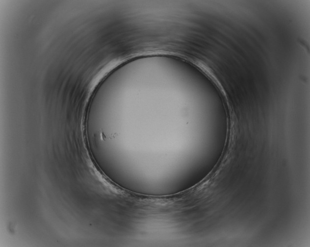 X0000102041197200807181022