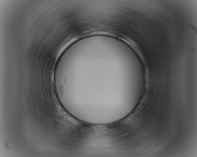 X0000102041198200807181022