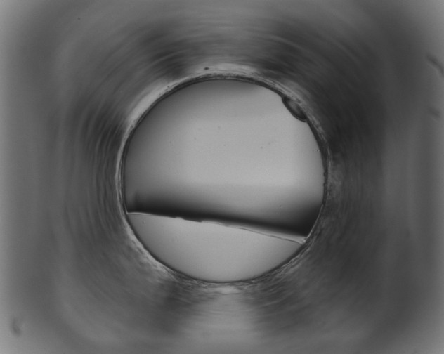X0000102041199200807181022