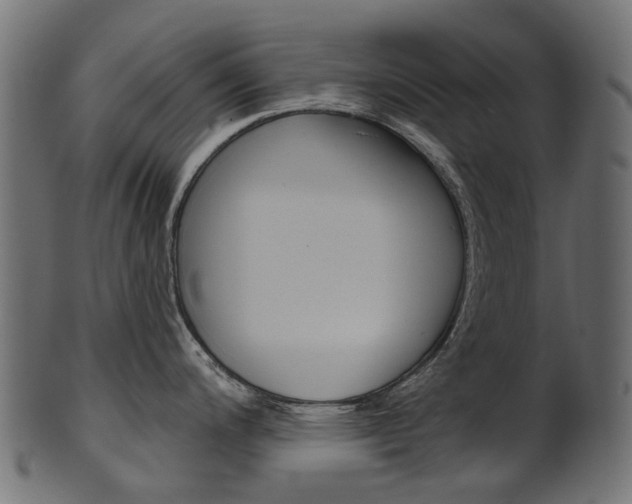 X0000102041200200807181022