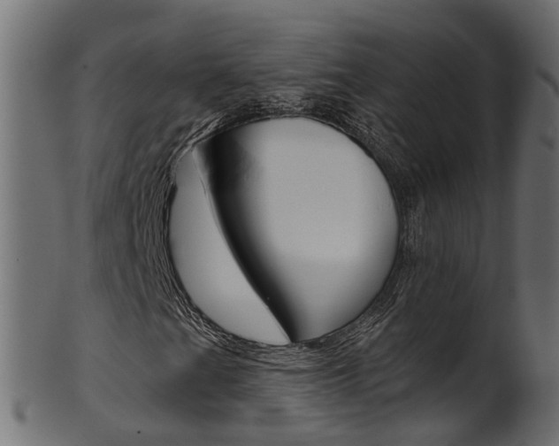 X0000102041201200807181022