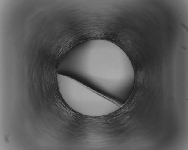 X0000102041202200807181022
