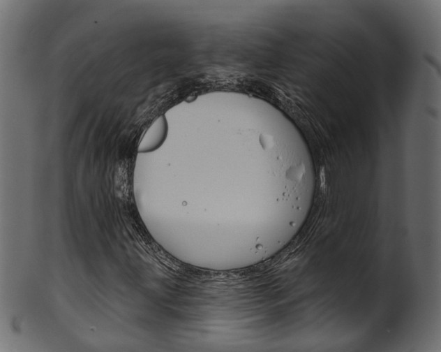 X0000102041203200807181022
