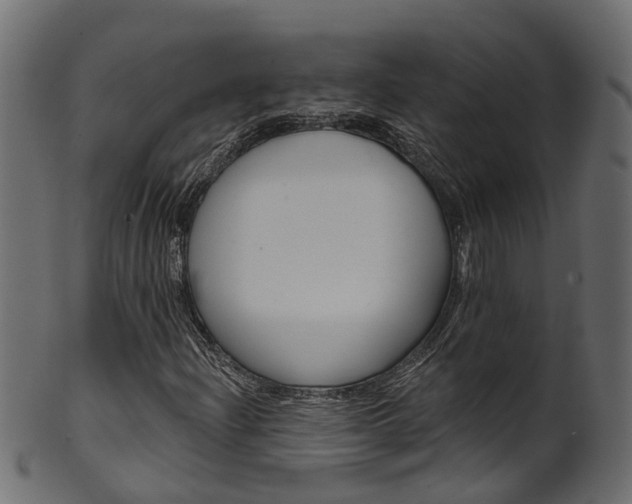 X0000102041204200807181022