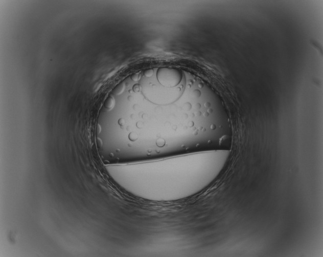 X0000102041205200807181022
