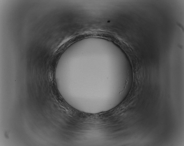 X0000102041206200807181022