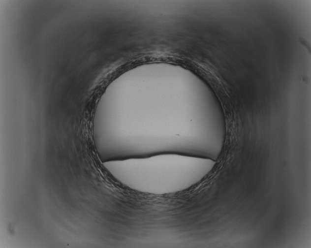 X0000102041207200807181022