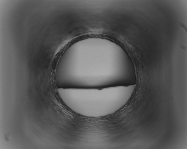 X0000102041208200807181022