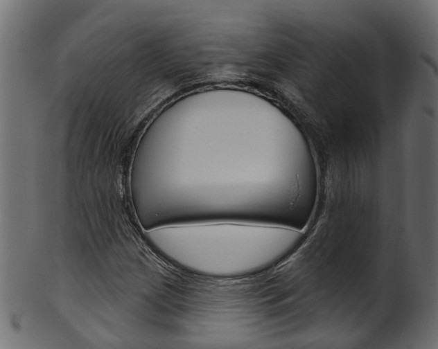 X0000102041209200807181022