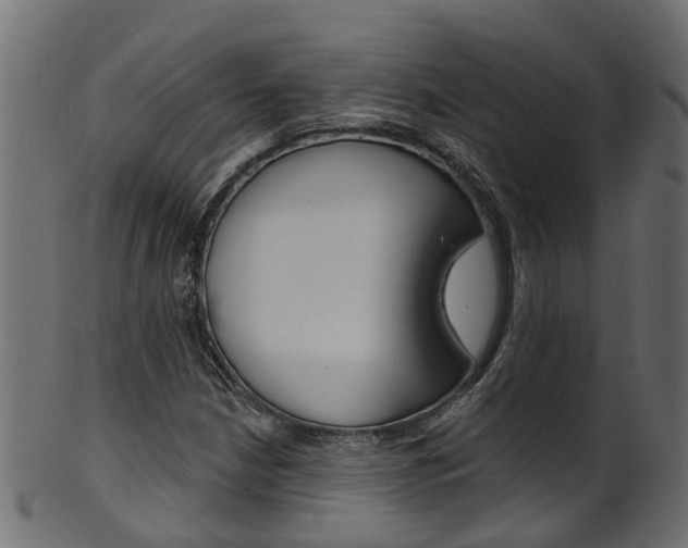 X0000102041210200807181022