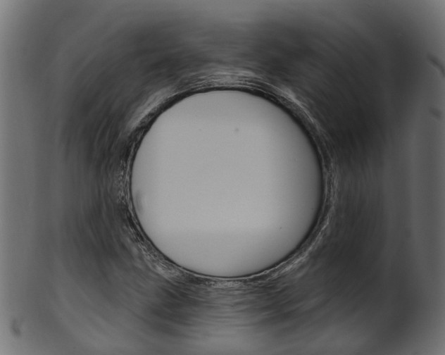 X0000102041211200807181022