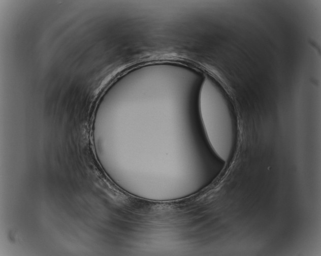 X0000102041212200807181022