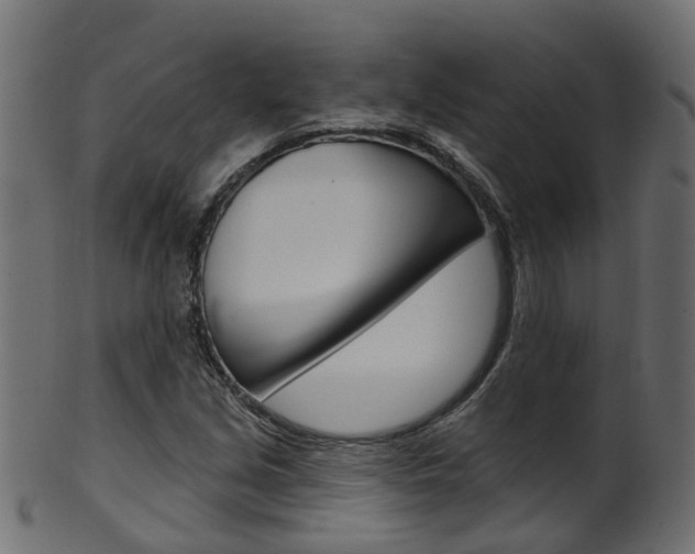 X0000102041213200807181022