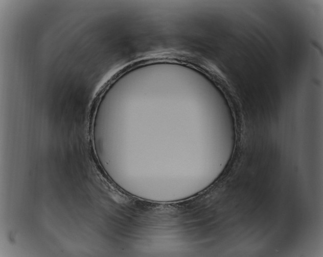 X0000102041216200807181022