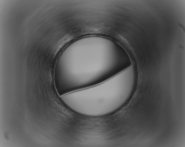 X0000102041218200807181022
