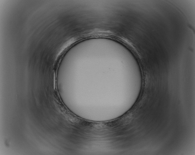 X0000102041219200807181022