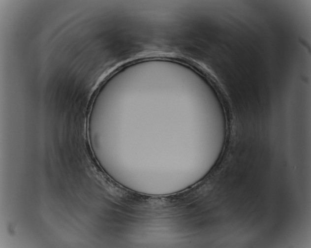 X0000102041220200807181022