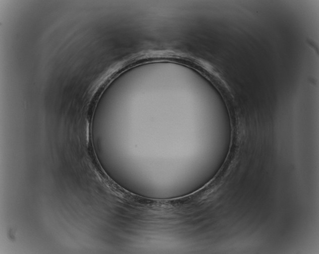 X0000102041221200807181022