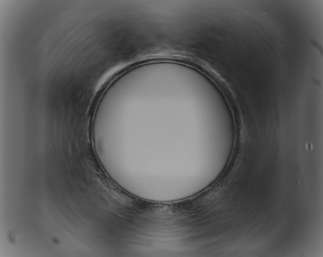 X0000102041222200807181022