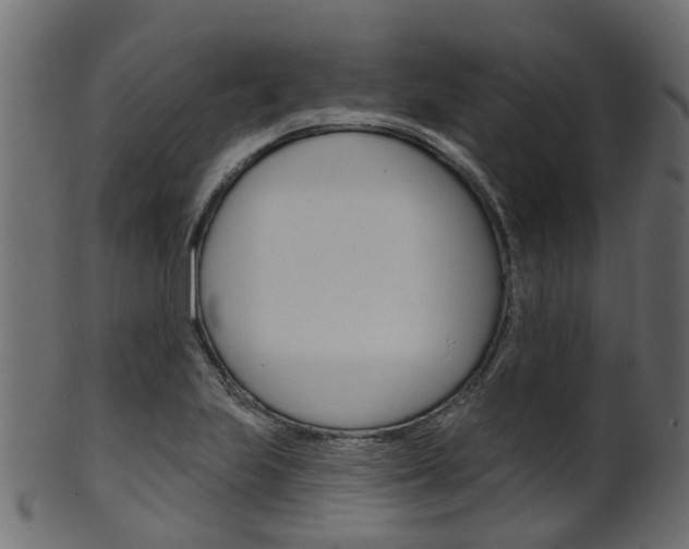X0000102041223200807181022